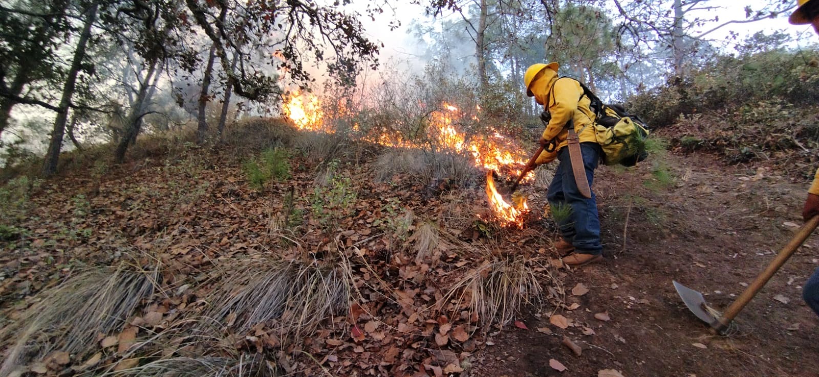 Atienden y extinguen 17 incendios forestales en Puebla