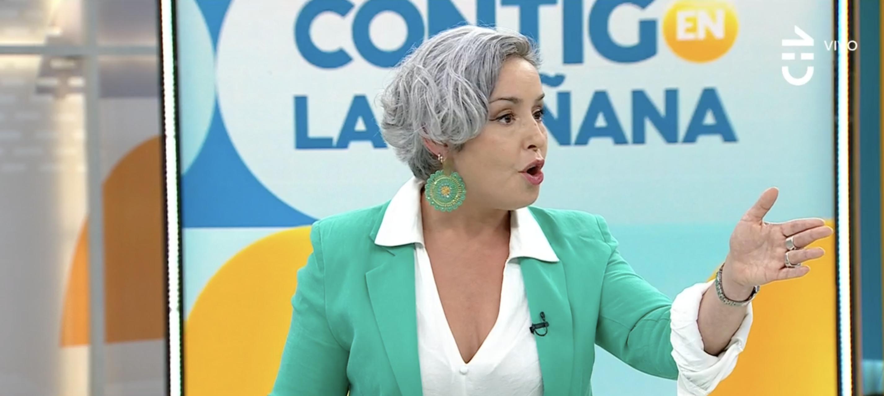 Alejandra Placencia sobre polémica ley Naín-Retamal: «Lo que hace no es proteger, es desregular»
