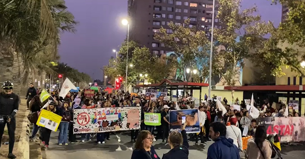 Marcharon en Santiago en contra del maltrato animal