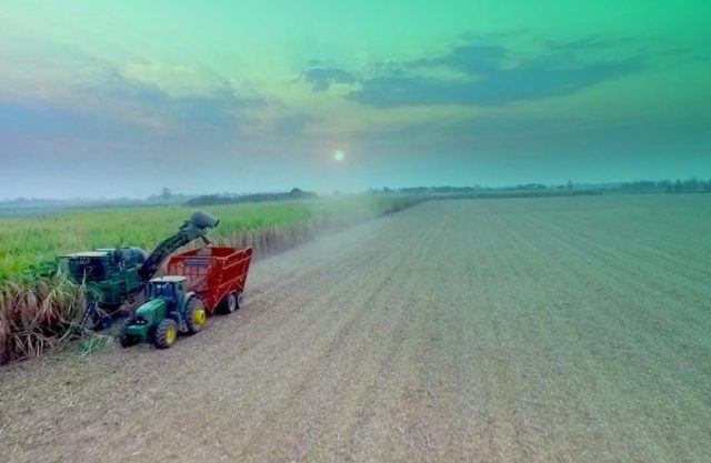 Las empresas de alimentos pagaron $53.500 millones a sus accionistas mientras millones pasaban hambre