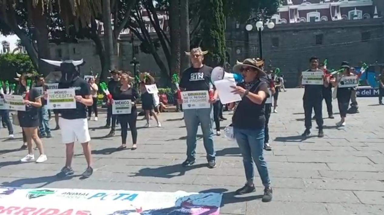 Animalistas exigen al Congreso prohibir la tauromaquia en Puebla