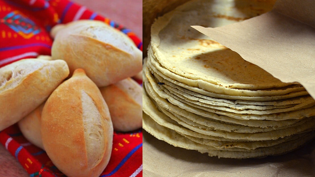 ¿Qué es más sano: el pan o las tortillas? Aquí te lo decimos