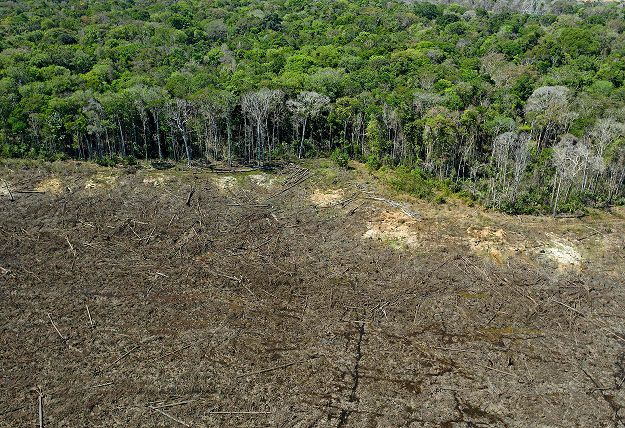 Hyundai está precipitando la destrucción de la Amazonía brasileña y amenaza la supervivencia de poblaciones indígenas