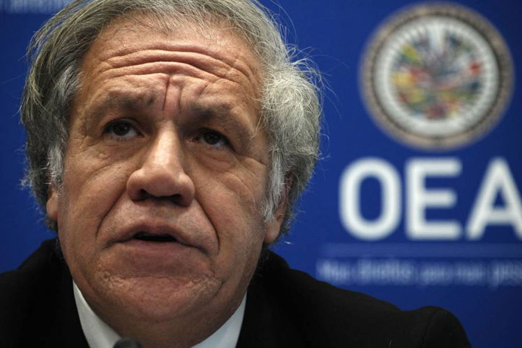 De Bolivia a Washington, la recompensa de Luis Almagro: Congresistas demócratas piden que Gobierno de EE.UU. apoye investigación en su contra