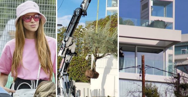 Shakira se lleva hasta un árbol en su mudanza de Barcelona a Miami (FOTOS)