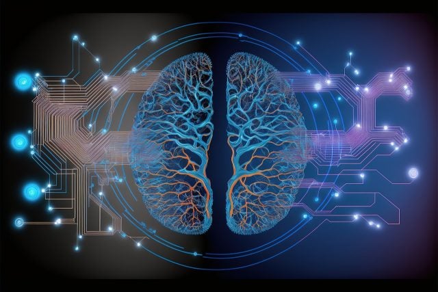 Investigadores hallan evidencia de que el cerebro moribundo aún puede estar activo
