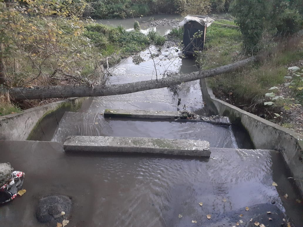 Por grave contaminación del estero Ovejería presentaron denuncia formal a superintendencias de Los Lagos