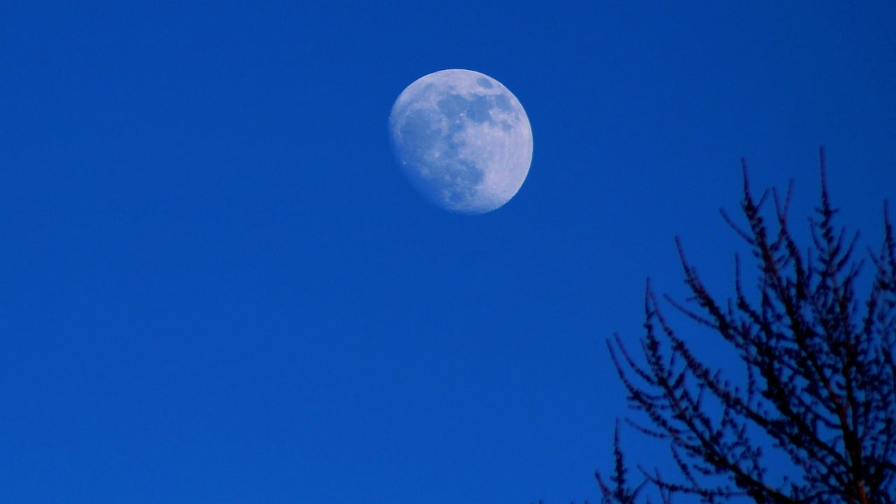 Investigadores revelan de qué está compuesto el interior de la Luna