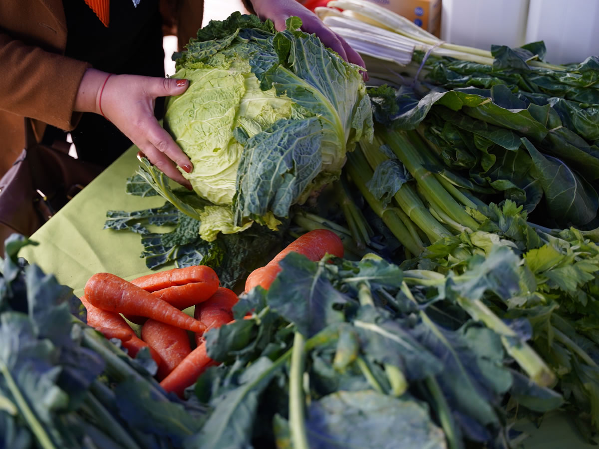 Gobierno inaugura 30 microbancos de alimentos para apoyar seguridad alimentaria en 11 regiones de Chile