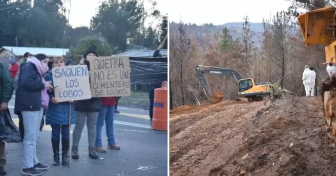 Lobos marinos muertos por gripe aviar enterrados en sector Patagual de Coronel serán retirados del sector