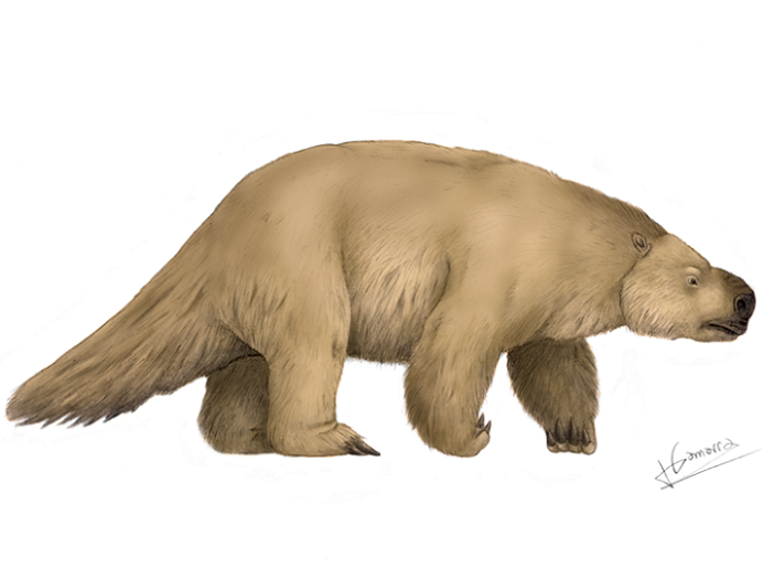 Así era el Milodón: el gran mamífero que habitó la Patagonia Austral hace 10 mil años 