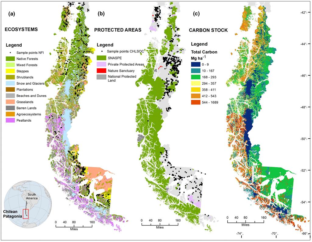 Estudio: Patagonia chilena almacena casi el doble de carbono por hectárea que los bosques del Amazonas