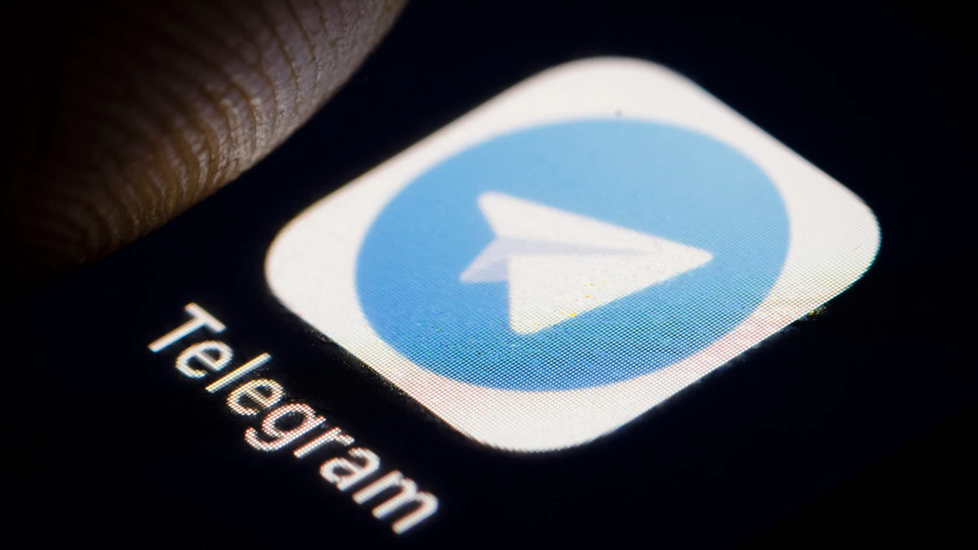 Telegram-brasil