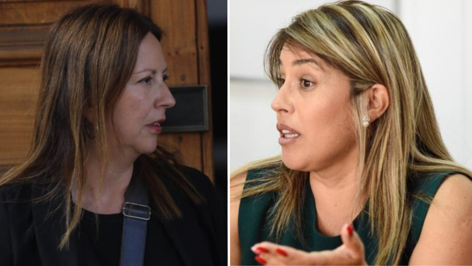 Bolsa de gatos en el PPD: Piergentili envía a Tribunal Supremo a vicepresidenta del partido que arremetió contra Tohá