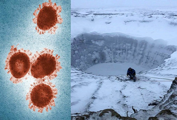 La resurrección del virus «zombi» luego de haber permanecido congelado por casi 49 mil años