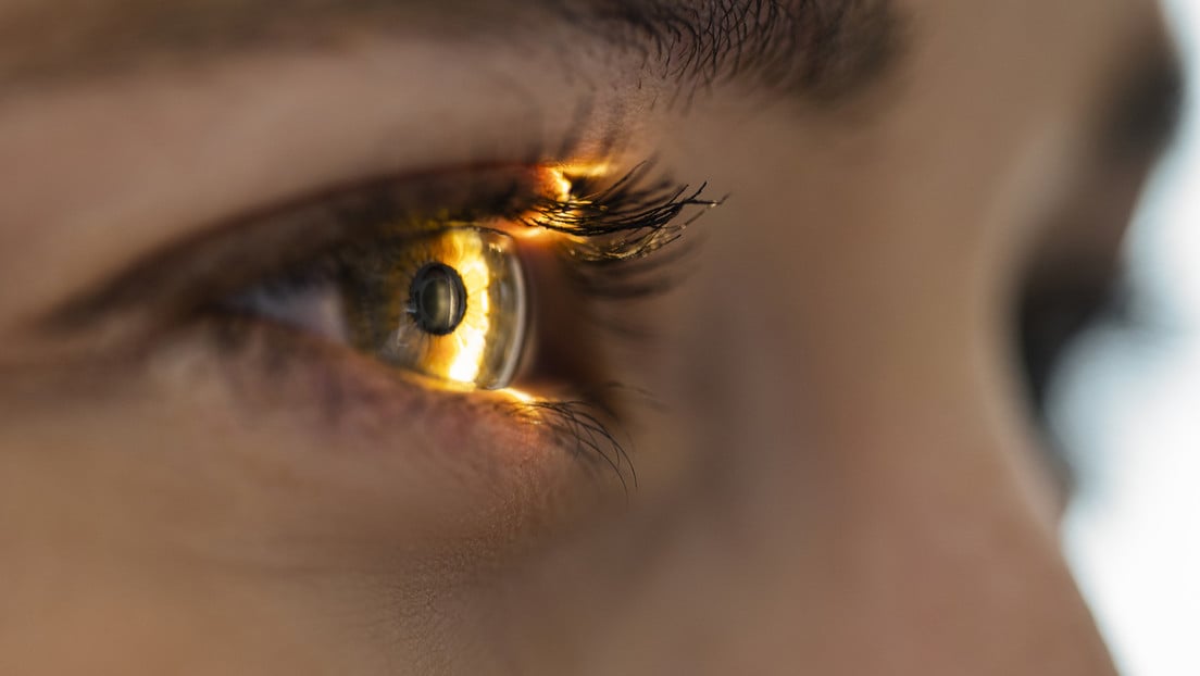 Nuevo proyecto ofrece tecnología de escaneo del iris para acceder a criptomoneda gratuita