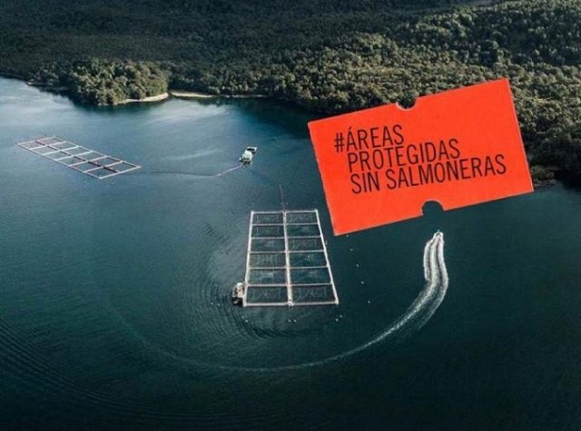 “Áreas protegidas sin salmoneras”: Comisión Mixta Parlamentaria y puntos críticos del proyecto ley para la naturaleza (SBAP)