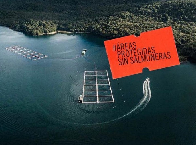 “Áreas protegidas sin salmoneras”: Comisión Mixta Parlamentaria y puntos críticos del proyecto ley para la naturaleza (SBAP)