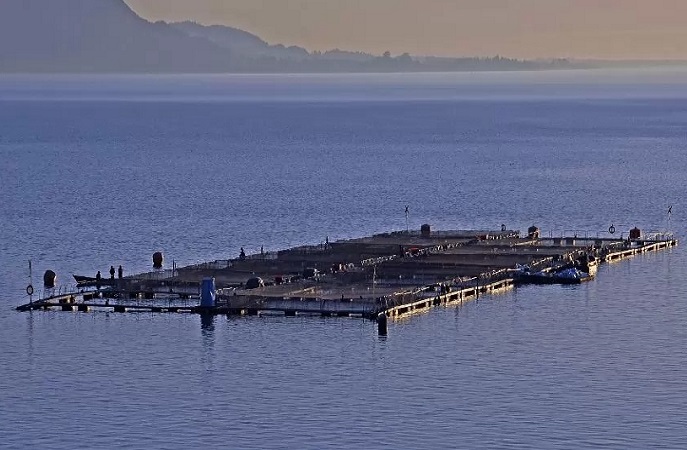 CORE de Los Lagos solicita a salmoneras el retiro de instalaciones abandonadas y un plan de salida de agua dulce