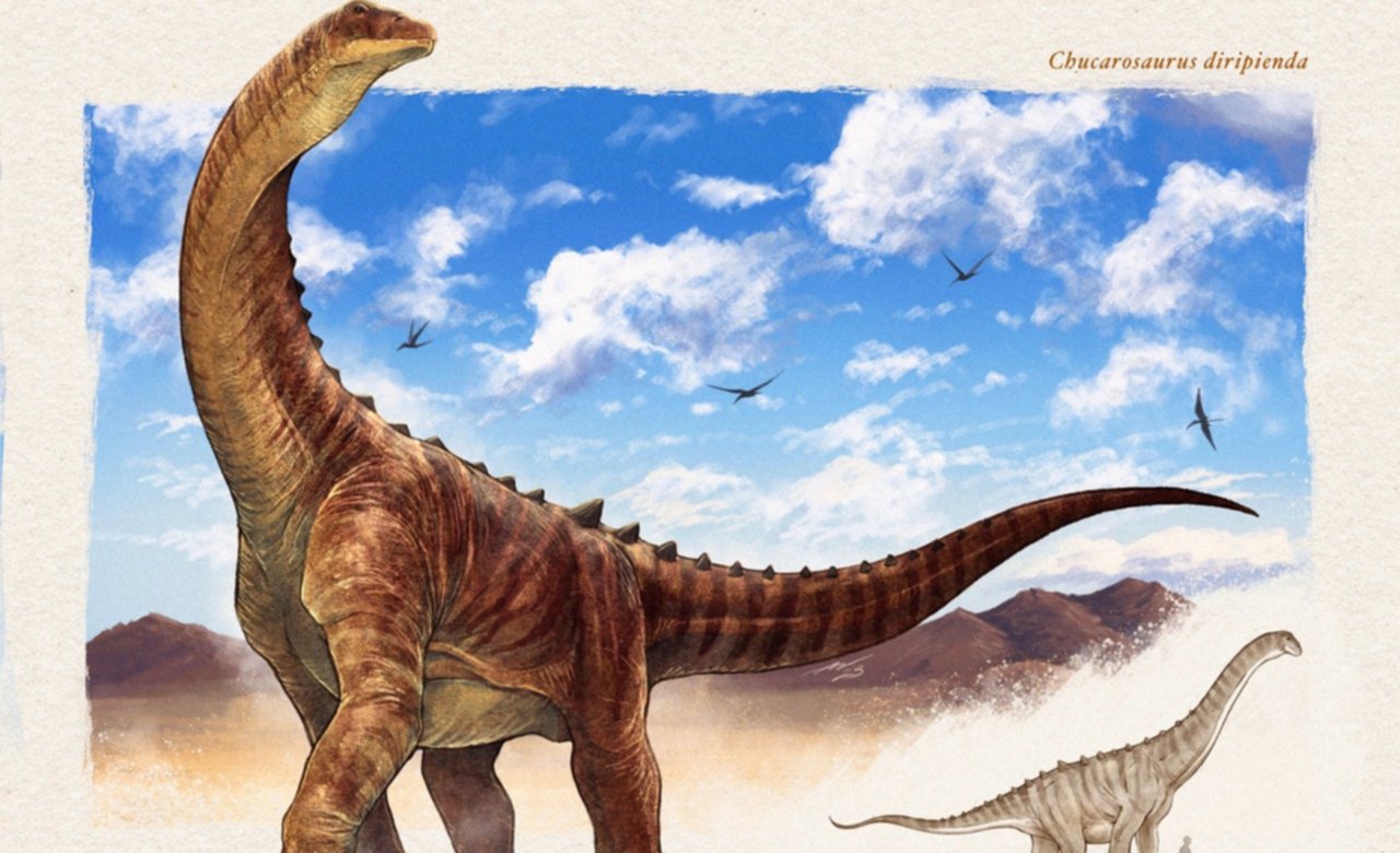 «Chucarosaurus», el impresionante dinosaurio gigante de 90 millones de años descubierto en Argentina