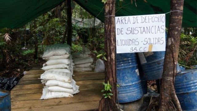 Destruyen más de 30 laboratorios y fabricas de drogas en Bolivia
