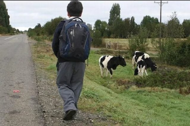 La difícil realidad de la educación rural en Chile: Mil docentes identifican los principales desafíos