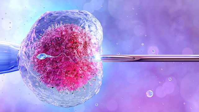 Nace el primer bebé en Reino Unido con ADN de tres personas