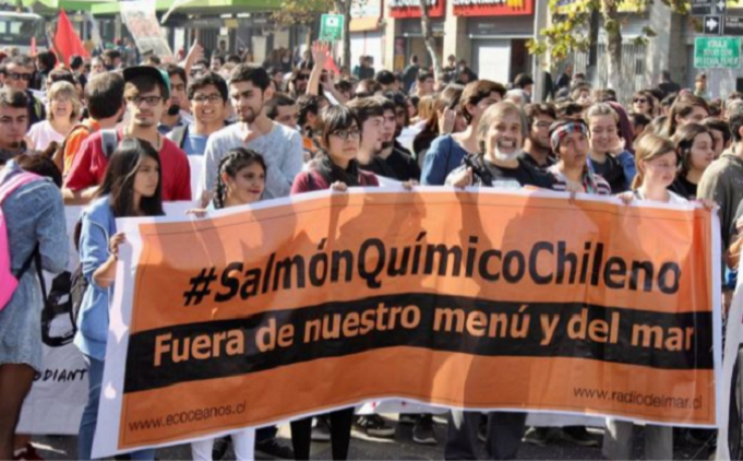 Comunidades y organizaciones de todo Chile denuncian la ocupación y destrucción de áreas protegidas por la mega industria salmonera