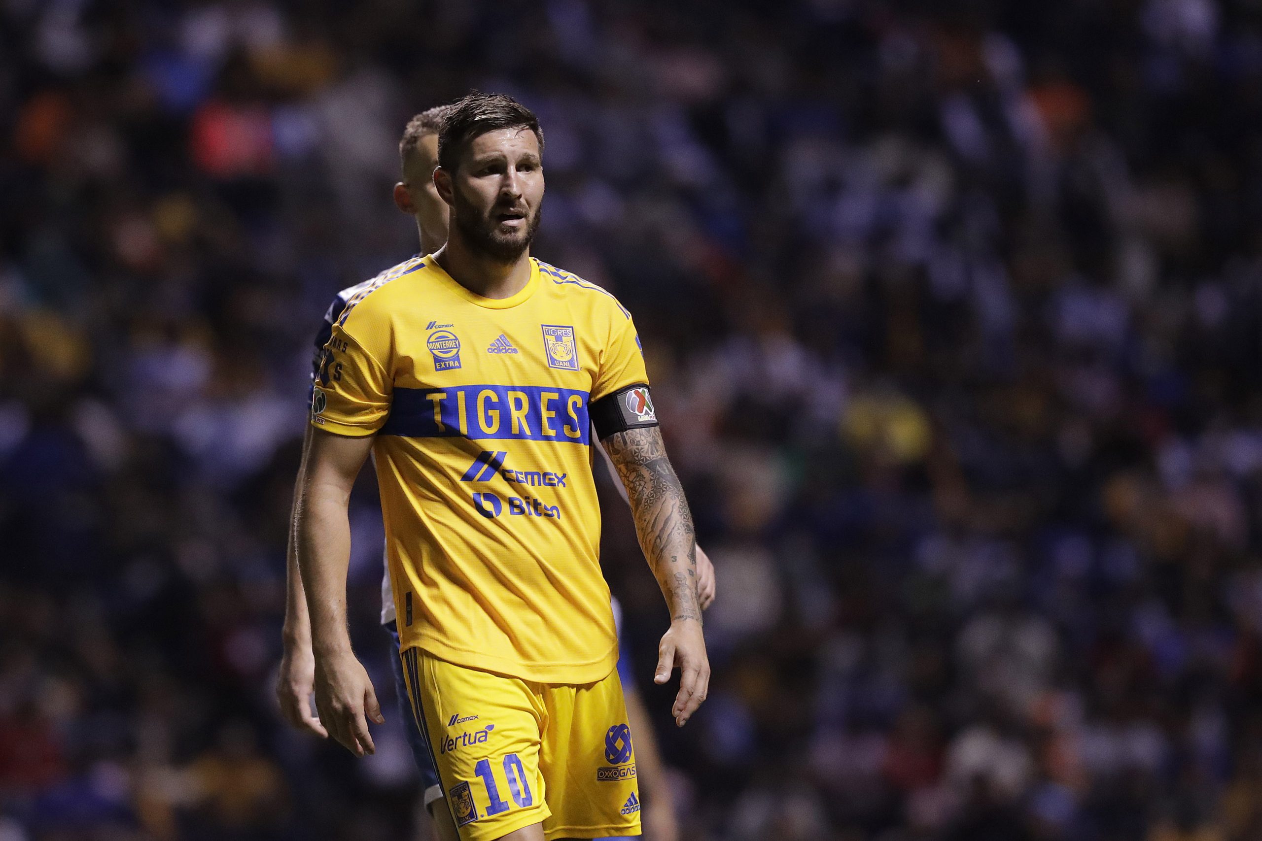 Monterrey, Chivas, León y Puebla eliminados de la liguilla