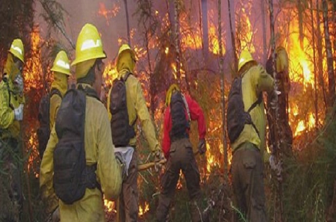 Balance temporada de incendios forestales 2022-2023: 431 mil hectáreas afectadas y M$83.815.871 de gasto público