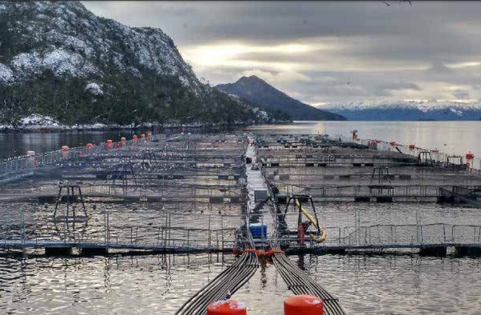 Las 411 concesiones de la industria salmonera en áreas protegidas que no toca el proyecto de  ley Sbap ni afecta al empleo