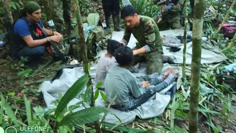 Sobrevivir: Las enseñanzas que deja la increíble hazaña de los niños indígenas perdidos en la selva de Colombia