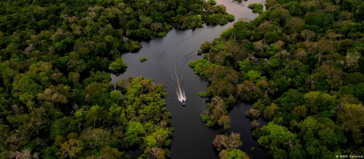 La deforestación en territorios indígenas brasileños provocó la emisión de más de 90 millones de toneladas métricas de CO2