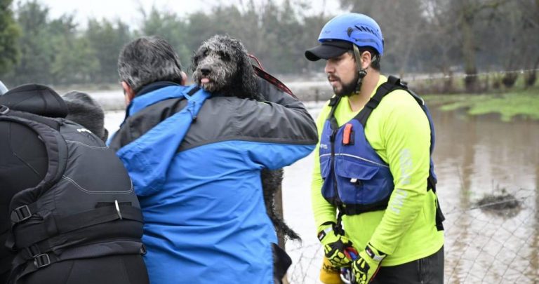 Veterinaria entrega recomendaciones para el cuidado de mascotas afectadas por las inundaciones