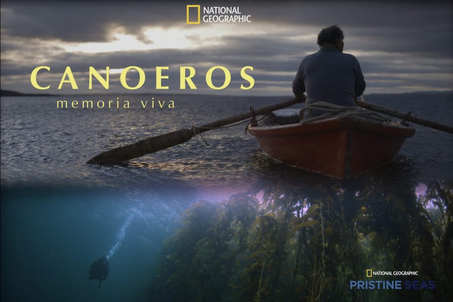 Documental de National Geographic sobre Reserva Nacional Kawésqar y el daño de las salmoneras ya se puede ver online