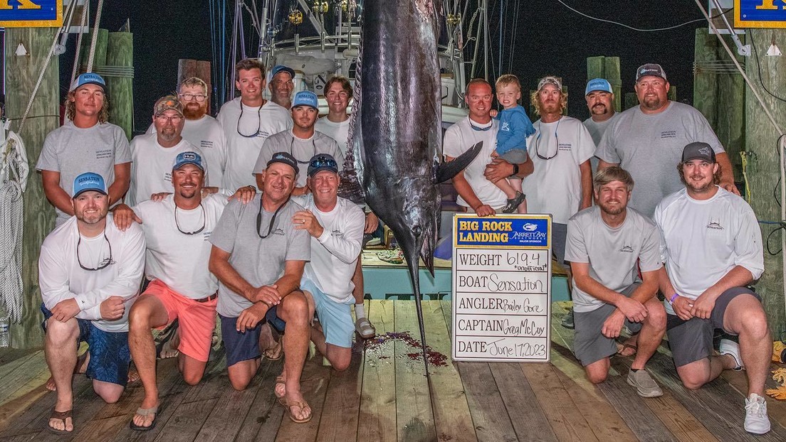 Pierden un premio de 3,5 millones de dólares por culpa de un tiburón