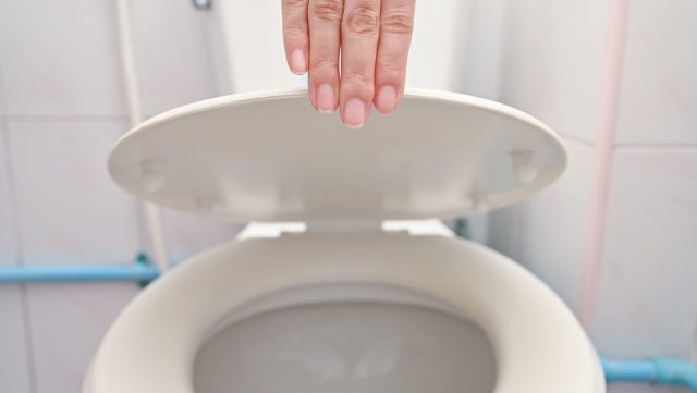 EE.UU.: Buscan a una persona infectada con una cepa «críptica» de covid que la propaga por medio de cloacas