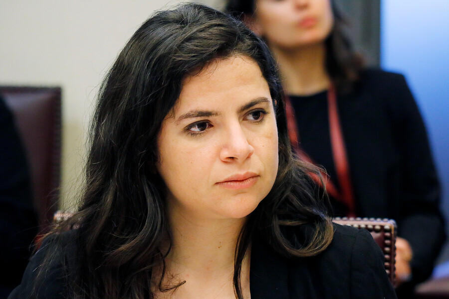 Orellana se defiende ante críticas de Republicanos: “El desconocimiento del clítoris es un problema de salud pública”
