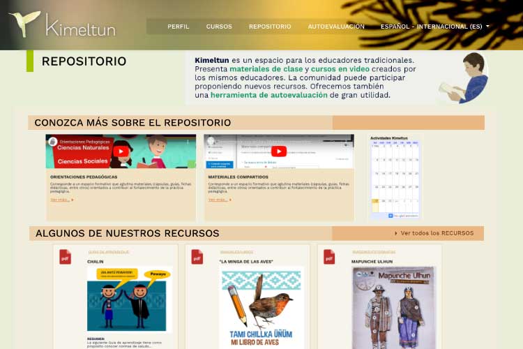 Kimeltun: Crean plataforma para el registro y apoyo pedagógico a educadores tradicionales mapuche