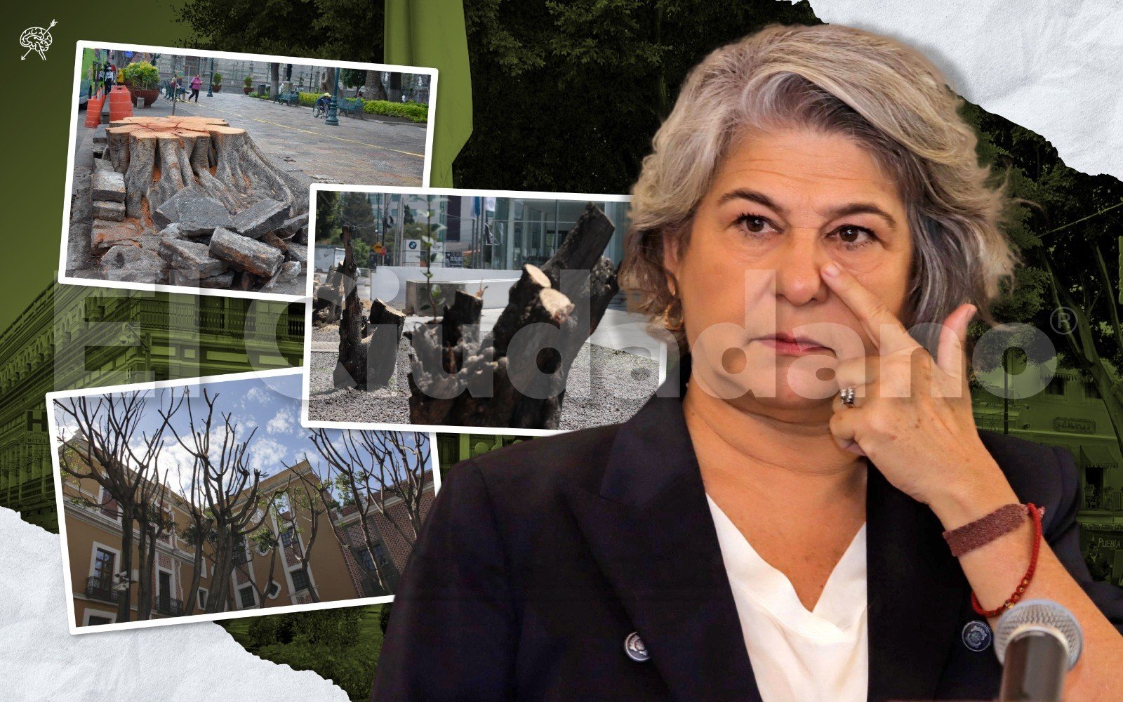 Escandaliza la mochadera de árboles del Ayuntamiento de Puebla