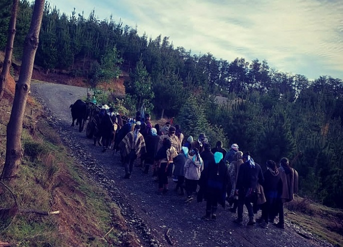 Comunidad mapuche williche de San Juan de la Costa, recupera y protege espacio espiritual a manos de empresa forestal