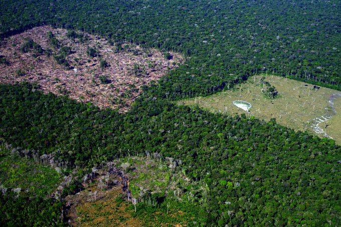 deforestación-amazonía