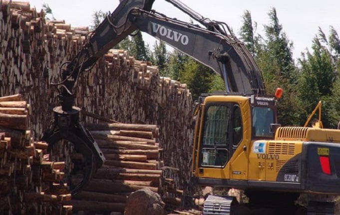 Municipalidades de la Araucanía se suman a petición de un “Royalty Forestal” para la región