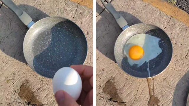 Hombre de Nuevo León con la ayuda del intenso calor prepara huevo estrellado en la calle (VIDEO)
