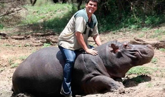«Es como un hijo para mí, es como un humano»: El trágico final del hombre que crio a un hipopótamo desde bebé y fue hallado ahogado y con mordeduras (Fotos)