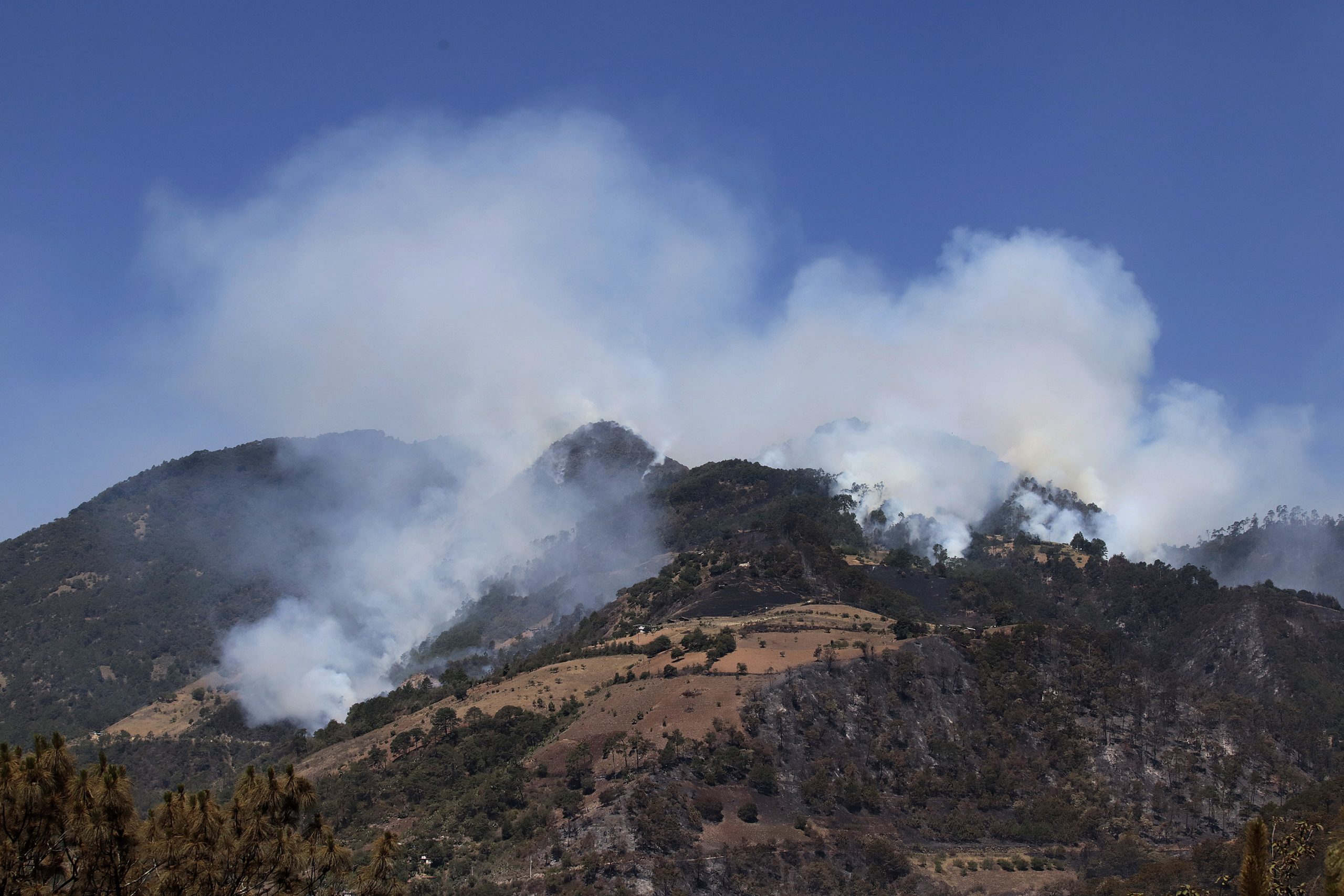 Con 293 incendios forestales, Puebla llega al quinto lugar nacional