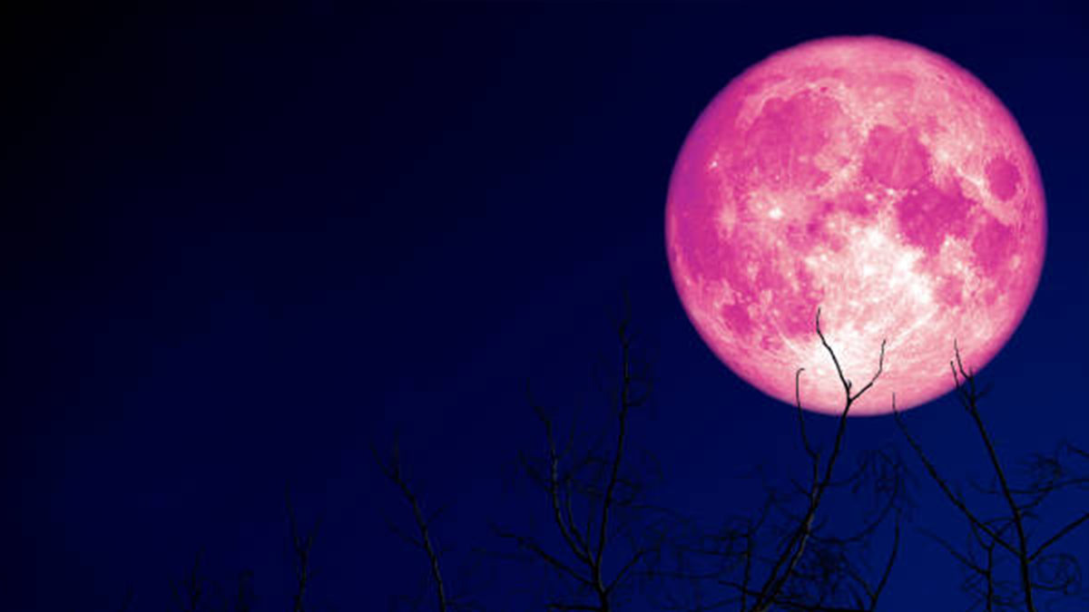 El 4 de junio habrá luna rosa, acá te decimos el ritual para atraer dinero, abundancia y amor