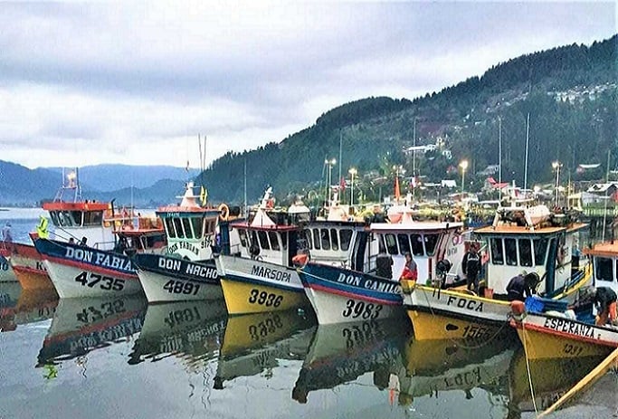 Diputada Camila Rojas pide un decreto de emergencia por difícil situación de la pesca artesanal