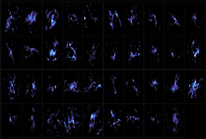 Desde Observatorio ALMA en Chile revelan secretos del Universo sobre semillas estelares