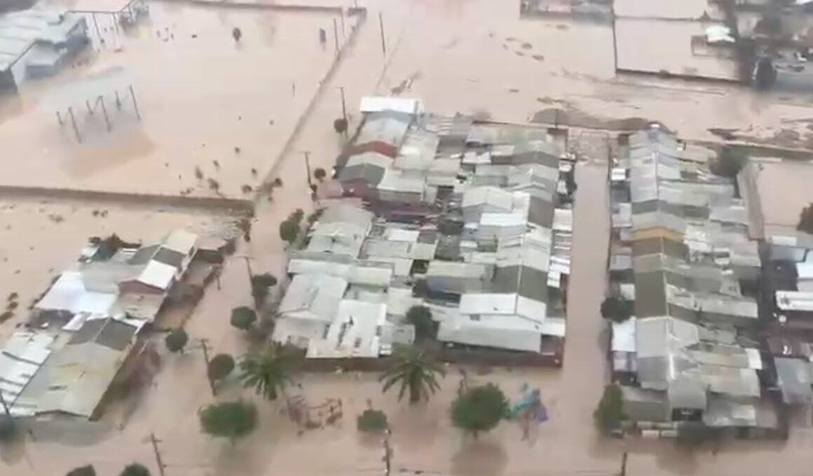 Académicos advierten que agricultura familiar campesina es la más expuesta y afectada por lluvias e inundaciones